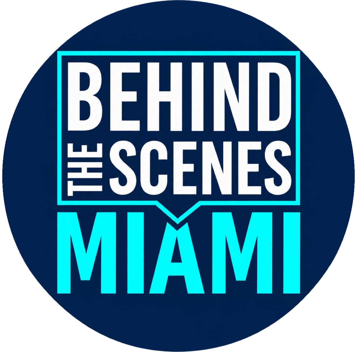 BTS MIAMI FOUNDATION INC logo